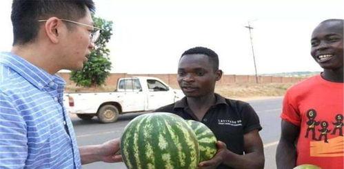 黑料吃瓜总站2,揭秘娱乐圈幕后真相，带你走进明星隐私世界