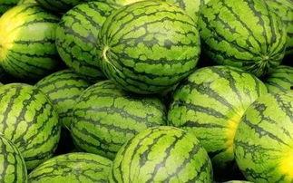 每日大赛吃瓜黑料每日大赛